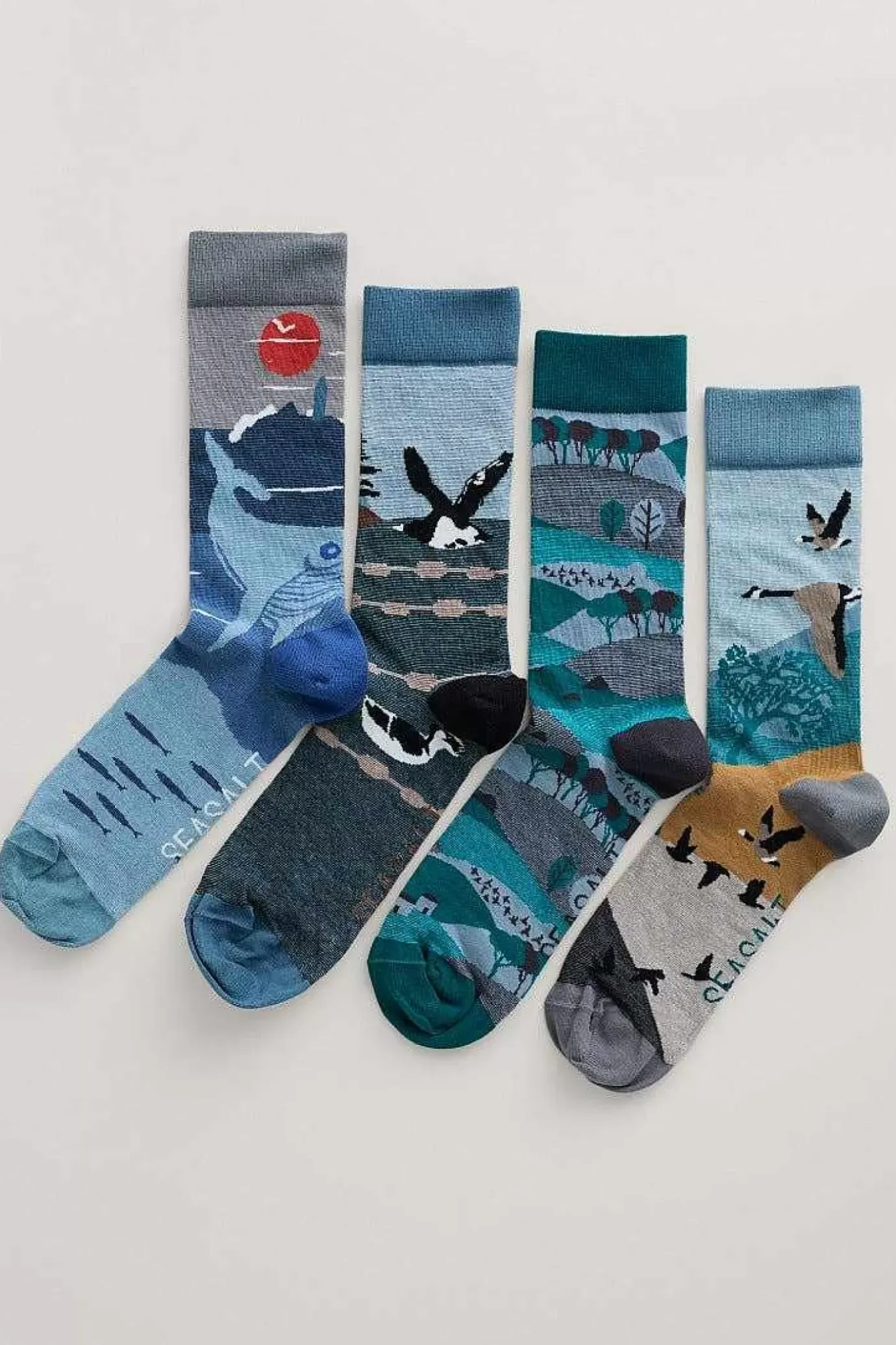 Seasalt Cornwall Box Of 4 Men's Postcard Socks<Men Socks