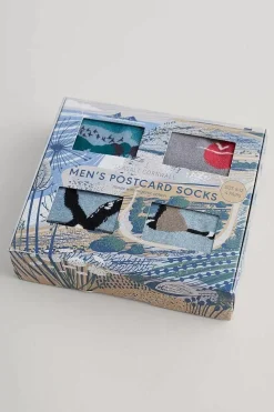 Seasalt Cornwall Box Of 4 Men's Postcard Socks<Men Socks