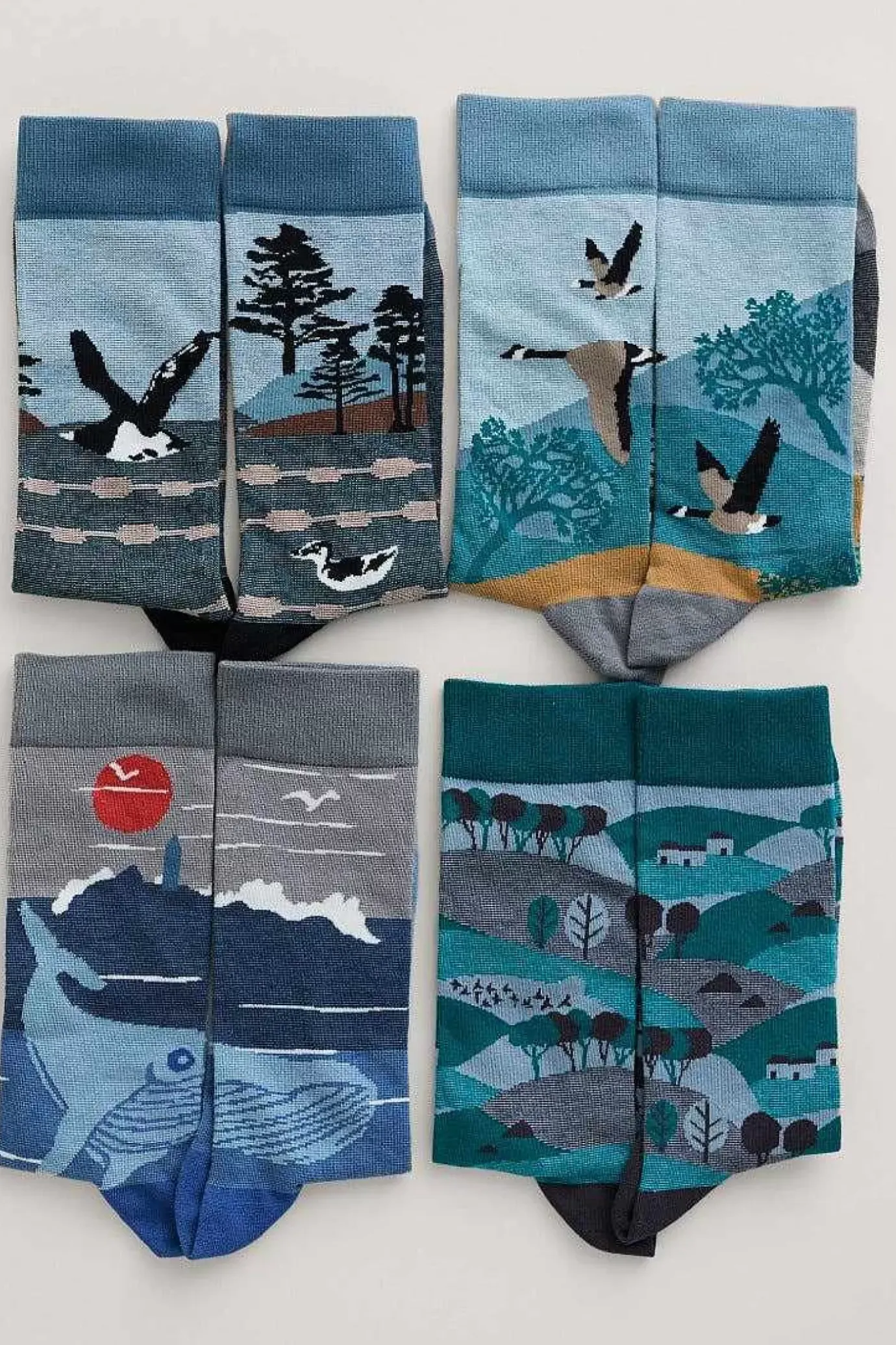 Seasalt Cornwall Box Of 4 Men's Postcard Socks<Men Socks