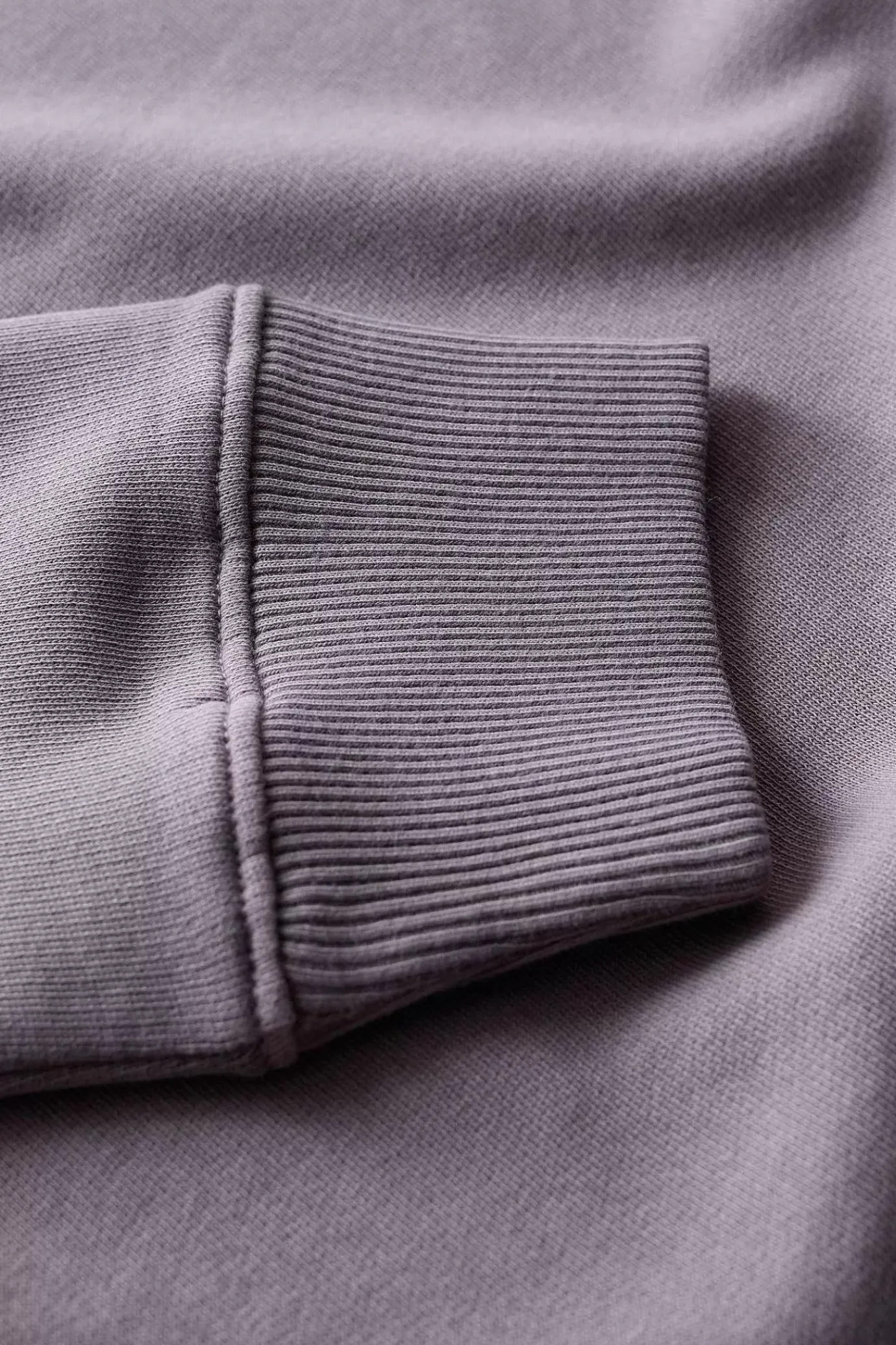 Seasalt Cornwall Hawkmoth Organic Cotton Sweatshirt<Women Tops