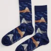 Seasalt Cornwall Men's Arty Socks<Men Socks